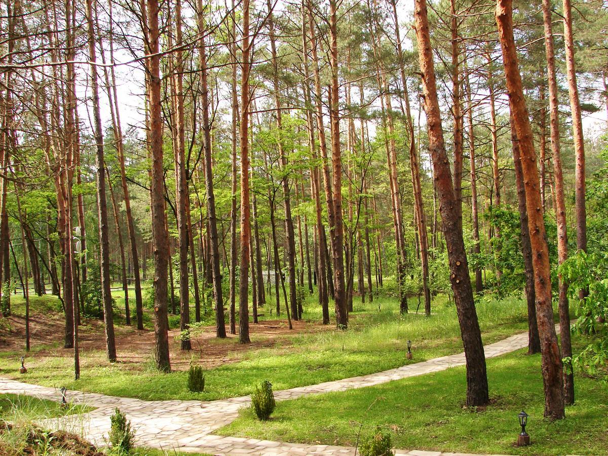Pershyi Kordon Tourist Complex Hotel Medvedevka ภายนอก รูปภาพ